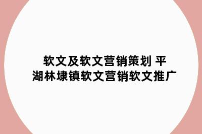 软文及软文营销策划 平湖林埭镇软文营销软文推广